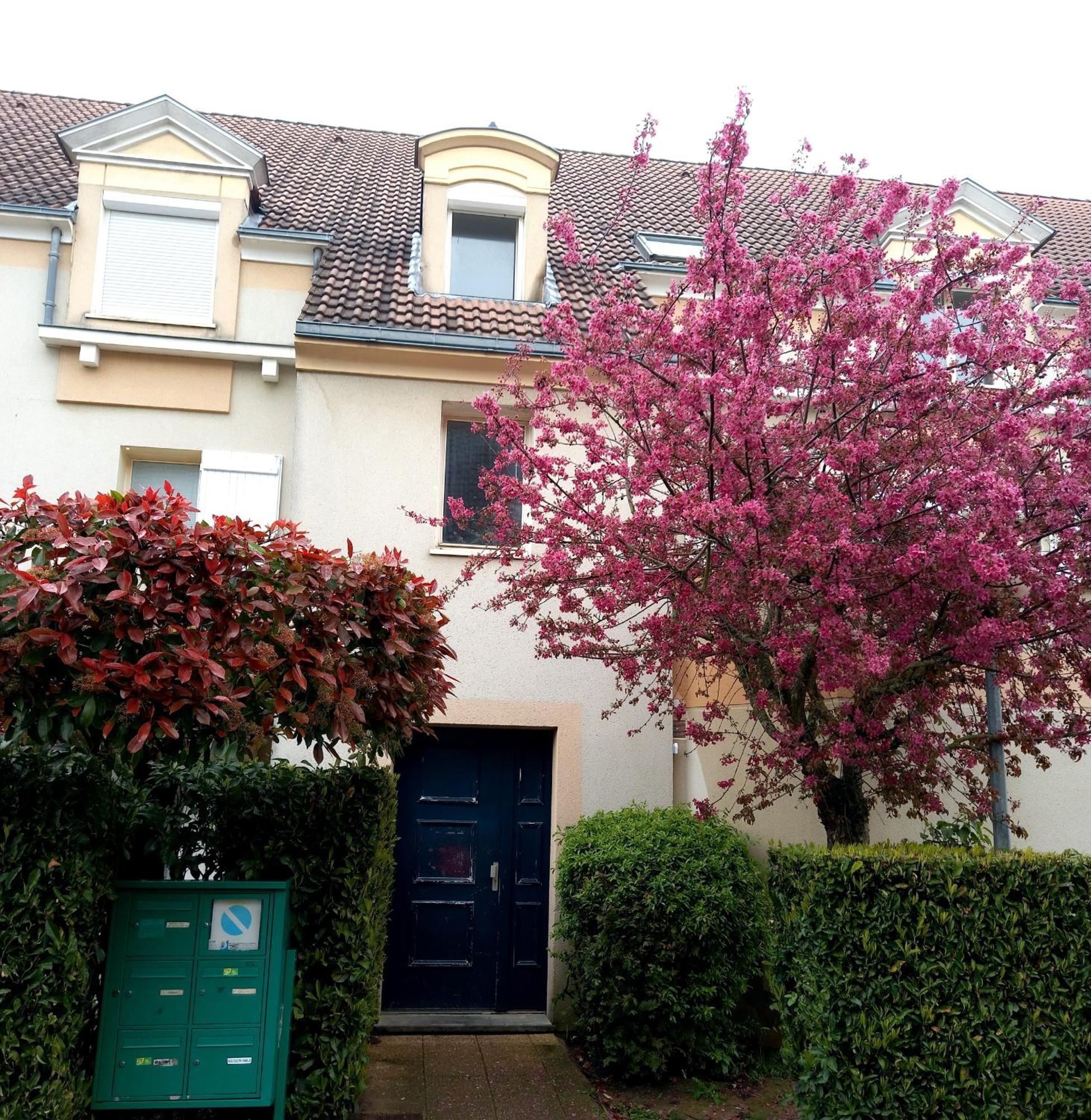 Location Chambre Double Dans Appartement - Cergy Εξωτερικό φωτογραφία